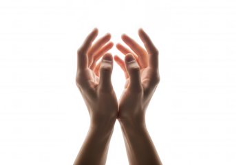 Gentle cupped hands reaching upwards isolated on a transparent background