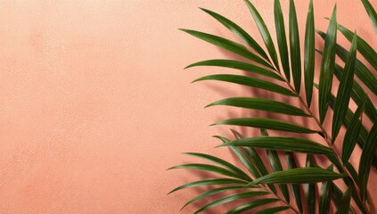 Green Palm Leaves on a Peach Background, Providing an Aesthetic Template with Ample Copy Space for Social Media and Instagram Stories


