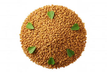 Fenugreek seeds with leaves isolated on a transparent background