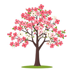 Fototapeta premium Blooming Dogwood Tree with Pink and White Flowers on White Background Spring Floral Illustration for Graphic Design and Decorative Purposes