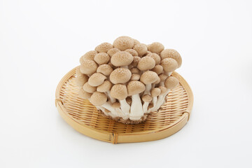 白背景に置かれたしめじ
