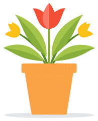 Potted Tulips with Red and Yellow Blooms and Green Leaves