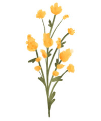 Fresh Yellow Wildflower Branch Watercolor Illustration