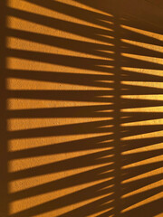 Sunlight and Shadow Pattern on Wall from Window Blinds