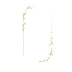 Gold floral Border frame  © Feti