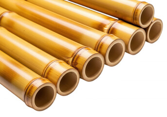 Golden bamboo stalks hollowed isolated on a transparent background