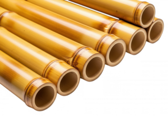 Golden bamboo stalks hollowed isolated on a transparent background