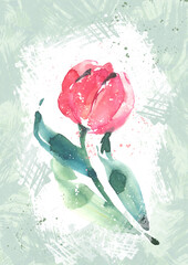 A painted pink tulip, a spring summer illustration, a gift card for a woman, a mother. Creative postcard design with flowers on a textured green background.