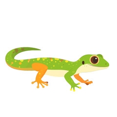 Fototapeta premium Cartoon Lizard with Green Body and Orange Legs on White Background for Illustration and Design