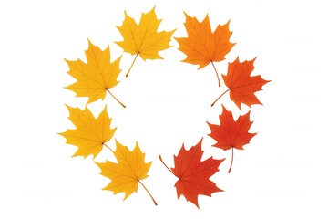 Autumn maple leaves forming a round wreath, symbolizing seasonal change and fall holidays, transparent background