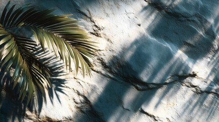 Palm leaf shadow on textured sand, Tropical beach backdrop with sunlight, Rough sand texture with botanical element