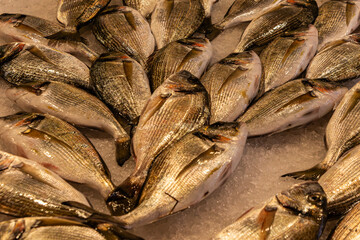 A full, overhead display of fresh, whole sea bream (orata/dorada) with shiny silver and gold skin, piled together on a thick bed of crushed ice at a fish market.