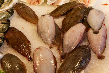 A close-up view of various flatfish, including sole and flounder, with skin colors ranging from dark brown to pale pink, arranged tightly on a bed of crushed ice at a fish market.