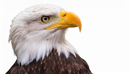 Obraz premium Close-up Profile of a Majestic Bald Eagle Head Isolated