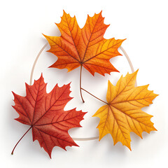 Fototapeta premium Autumnal Trio: Three vibrant maple leaves showcase the rich palette of autumn, connected by a delicate circle. A celebration of nature's artistry.