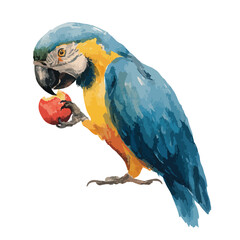 Fototapeta premium Vibrant Blue and Yellow Macaw Parrot Eating Red Apple Illustration.
