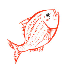 鯛　正月　筆 線画 イラスト