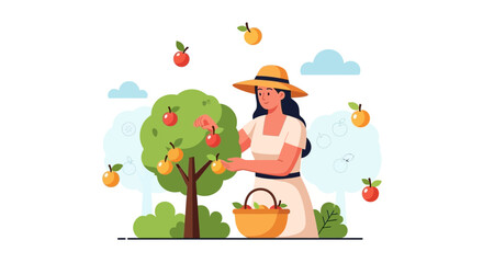 Fototapeta premium Apple Orchard Harvest: A Serene Scene of Fruit Gathering Under a Sunny Sky