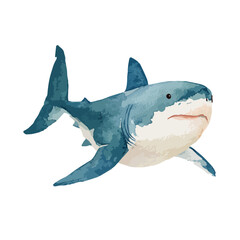 Fototapeta premium Dynamic Great White Shark Swimming Illustration.