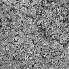  Smooth neutral cement wall texture with clean modern minimal gray surface.