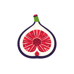 Vibrant Cross Section of a Fig with Red Seeds and Purple Skin on White Backdrop