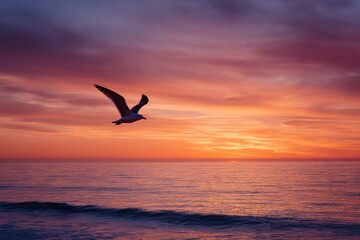 Fototapeta premium A solitary seabird soars across a vivid seascape, silhouetted against a colorful sunset
