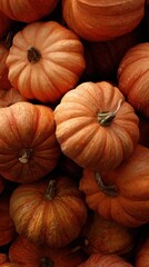Harvest of Pumpkins: A Vibrant Display for Fall and Thanksgiving Decor