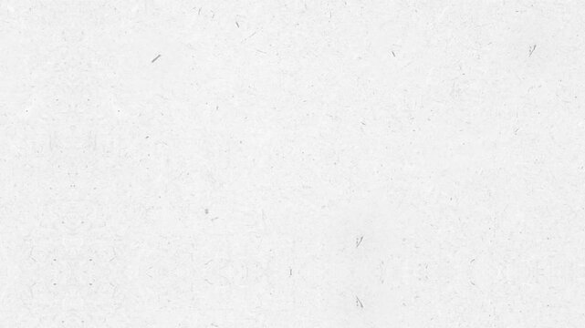 Textured white paper background surface with subtle natural details perfect for design projects