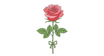 A single delicate pink rose with a ribbon tied around its stem presented beautifully.