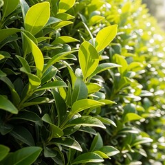 Obraz premium This image shows two hands holding up a blank white sheet of paper against a gray background. The paper is clean and empty, suggesting space for text, design, or a message. The neutral background help