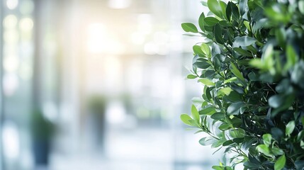 Modern empty office interior with open workspace and bright lighting