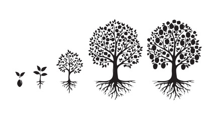 Dark outline of the life cycle of a plum tree set against a white backdrop. A plant develops from a seed into a plum tree, complete with ripe fruits and a root system.