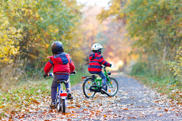 Two little kid boys cycling with bicycles in autumn forest park in colorful clothes