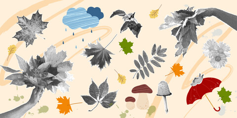 An autumn collection featuring autumn leaves and flowers. A trendy halftone collage. Vector illustration with a grainy photocopy effect for flyers, banners, and social media