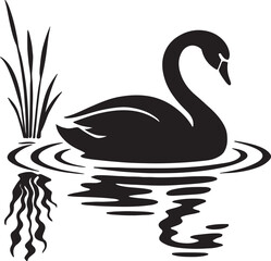 Black swan on white background and on the lake, a majestic black and white bird illustration.