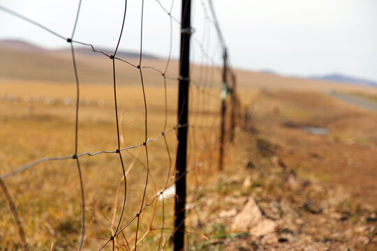 A close-up view of a barbed wire fence in an open field - Powered by Adobe