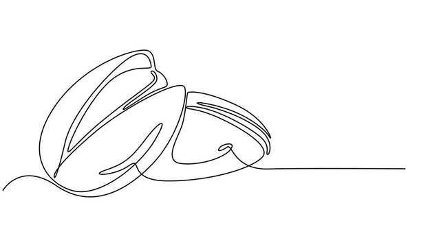 Self drawing animation of single line draw Pistachio Nut . Continuous contour movement of a pistachio. Continuous video with one line, Full length one line animation 4K video. Organic pistachios in.