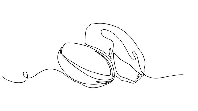 Self drawing animation of single line draw Pistachio Nut . Continuous contour movement of a pistachio. Continuous video with one line, Full length one line animation 4K video. Organic pistachios in.