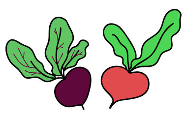 radish