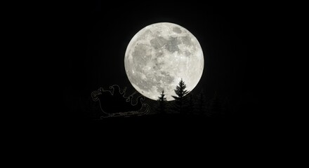 Obraz premium Full moon behind silhouetted trees in a dark night sky