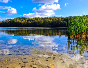 Lake Zawiad shore in Kashubia. Northern Poland.
