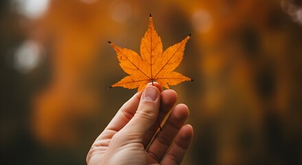 Hand holding orange leaf blurred background