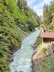 An unforgettable natural picture of a mountain river that snakes its way through the gorge along the coastal hills covered with mountain forest.