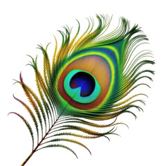 Vibrant peacock feather eye detail against black high resolution nature photography isolated on transparent background