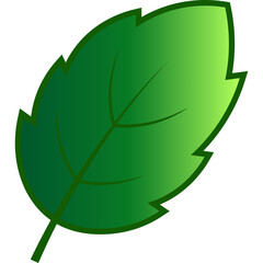 Green Tree Leaf Nature Element