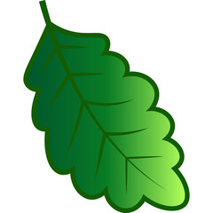 Green Tree Leaf Nature Element