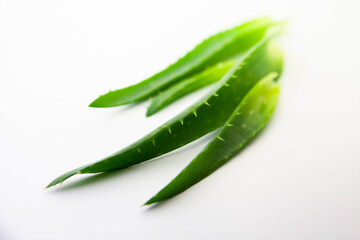 Fresh aloe vera leaves centered on a white background. Ideal for beauty, skincare, and wellness themes focusing on skin restoration, hydration, softening, and natural anti-aging treatments.