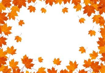 Obraz premium Vibrant border of falling autumn maple leaves in warm orange and yellow tones, framing a clear white center for text