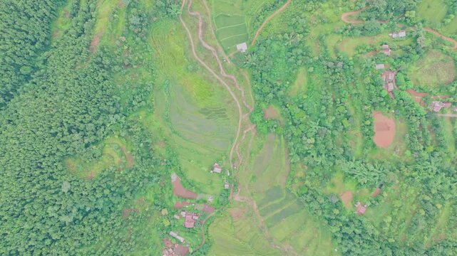 Beautiful hillside view of Tansen Palpa, Nepal, showcasing green mountains, traditional houses, and the peaceful charm of this historic hill town surrounded by nature.
