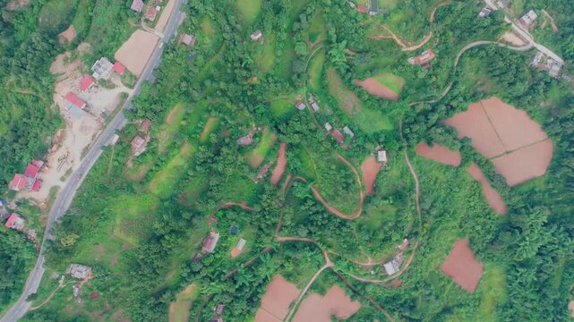 Beautiful hillside view of Tansen Palpa, Nepal, showcasing green mountains, traditional houses, and the peaceful charm of this historic hill town surrounded by nature.
